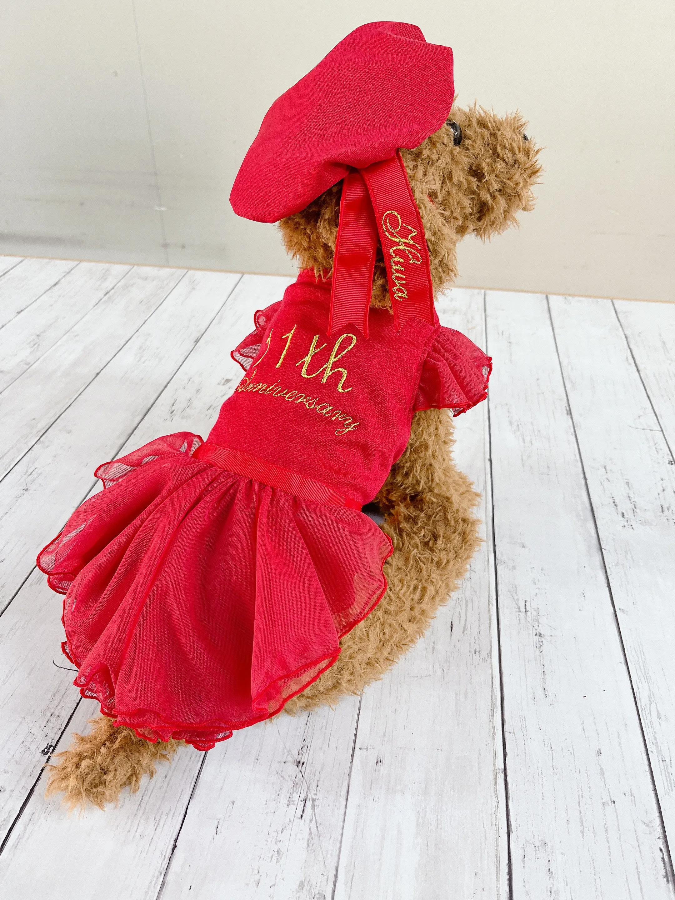 犬のための赤いドレスの写真