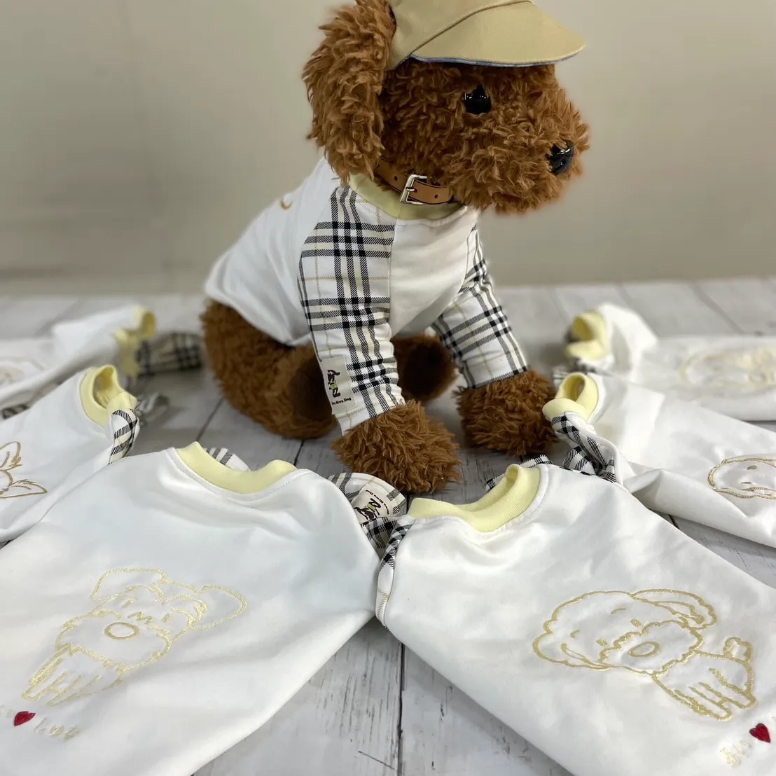 犬の白い服のサンプルの写真