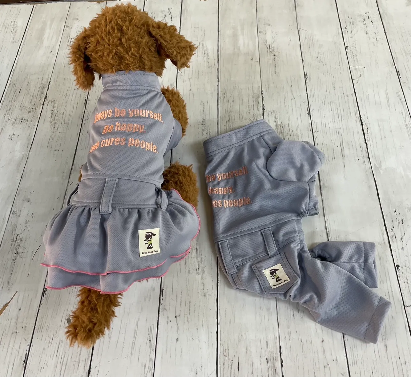 デニムのドレスの写真