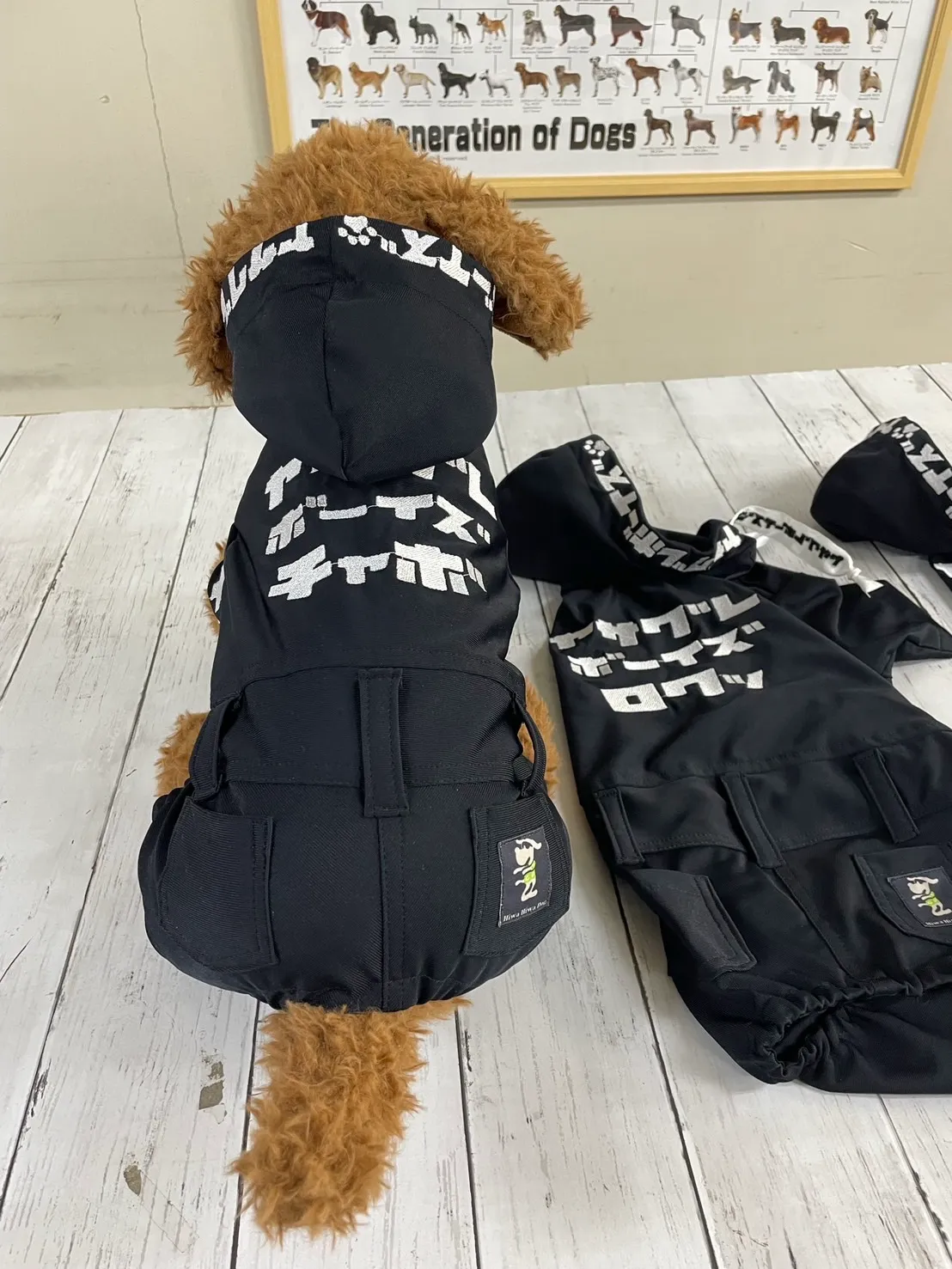 やんちゃな犬の服のサンプル写真